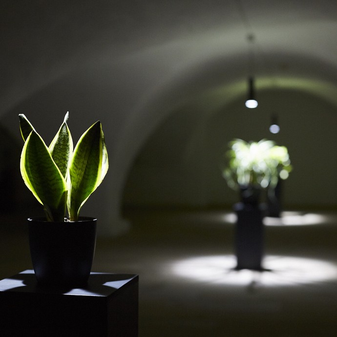Hörstel, DA, Kunsthaus Kloster Gravenhorst (vergrößerte Bildansicht wird geöffnet)